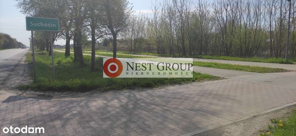 Grunt przy skarpie 1421m2 Suchocin gm. Jabłonna-19