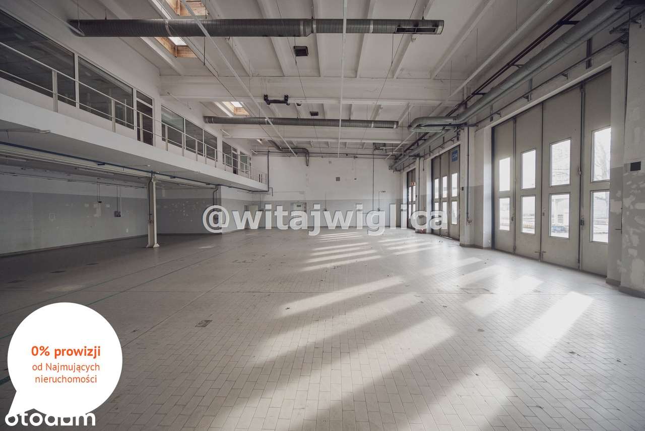 Magazyn, produkcja, plac manewrowy, zaplecze soc. - Pełny obrazek: 4/14