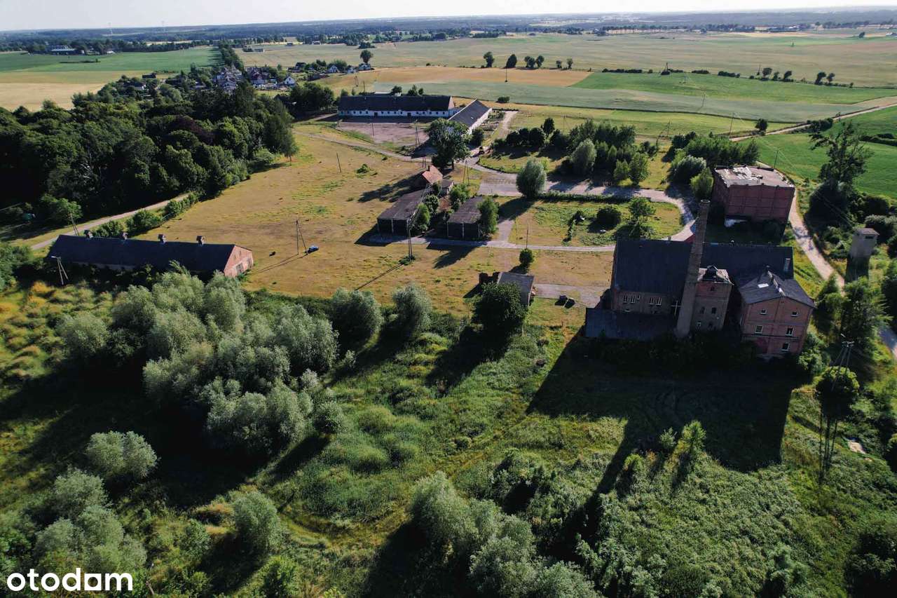 Sprzedam Folwark pod Brodnicą - łącznie 23ha - Pełny obrazek: 2/13