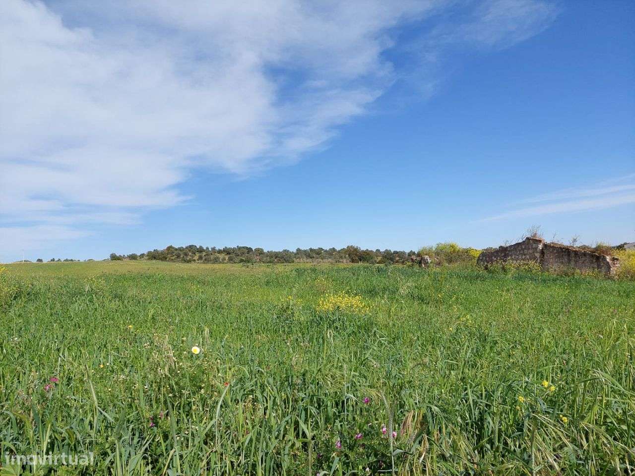 Terreno de 14.020m2 com Ruína Inserida - Grande imagem: 5/8