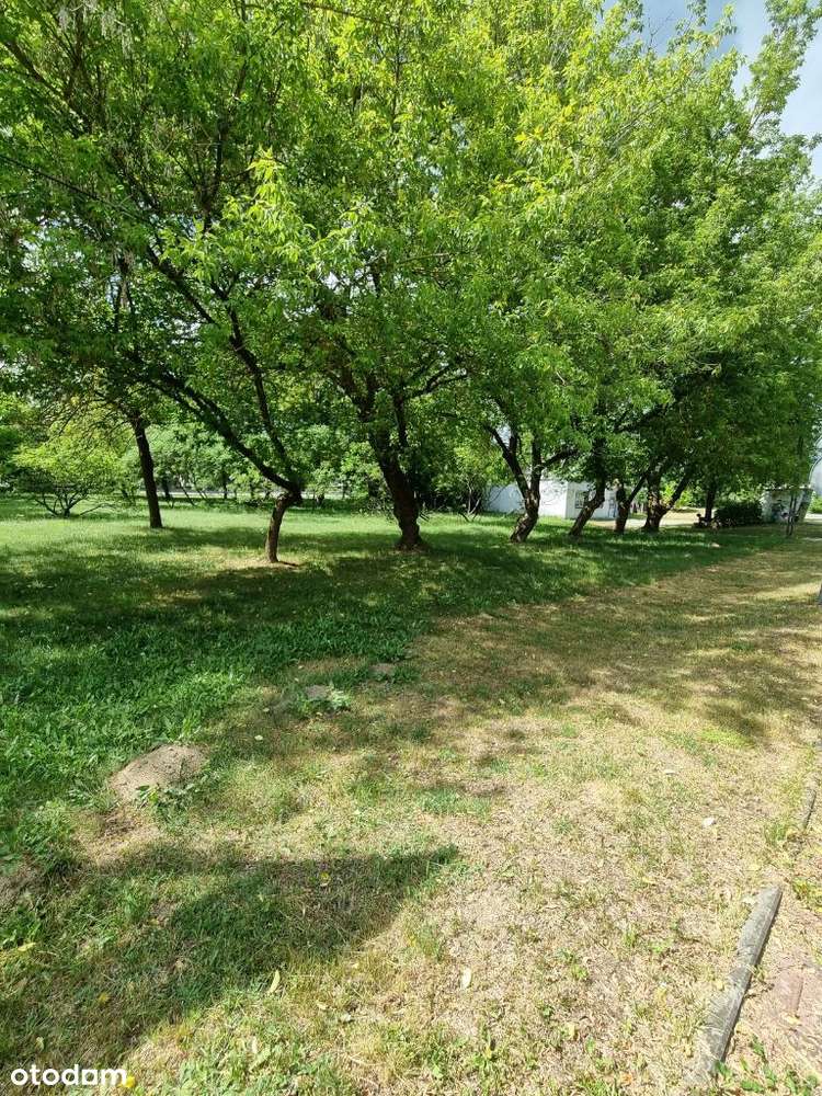 Budynek handlowo mieszkalny w Maleńcu 70m2 - Pełny obrazek: 4/15