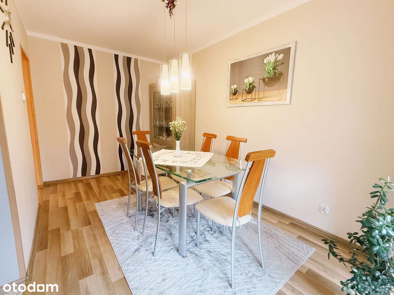 4 - pokoje mieszkanie w centrum Trzebiatowa nad samą Regą - Pełny obrazek: 4/18