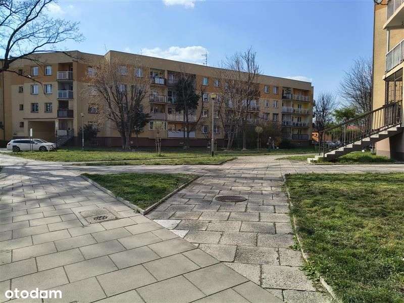 Paryska/1995 r./3 pok/kuchnia+spiżarnia+biuro!-18