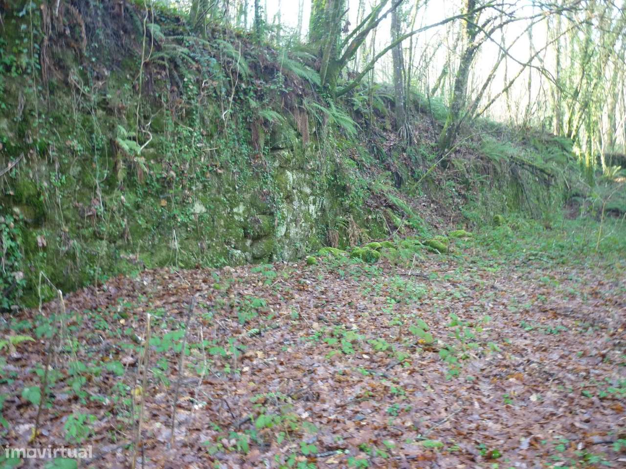 Terreno Junto a Nascente do Rio Ave!!!-4