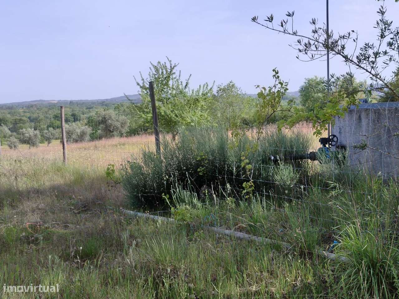 Terreno rustico em castanheira de baixo Peraboa-11