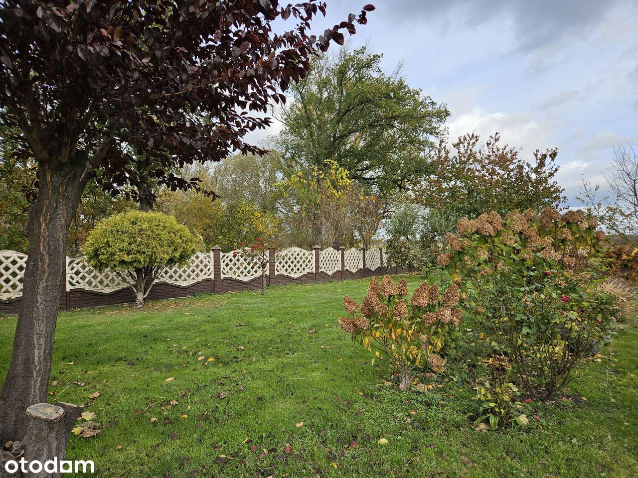 Dom z zabudowaniami gospodarczymi-13