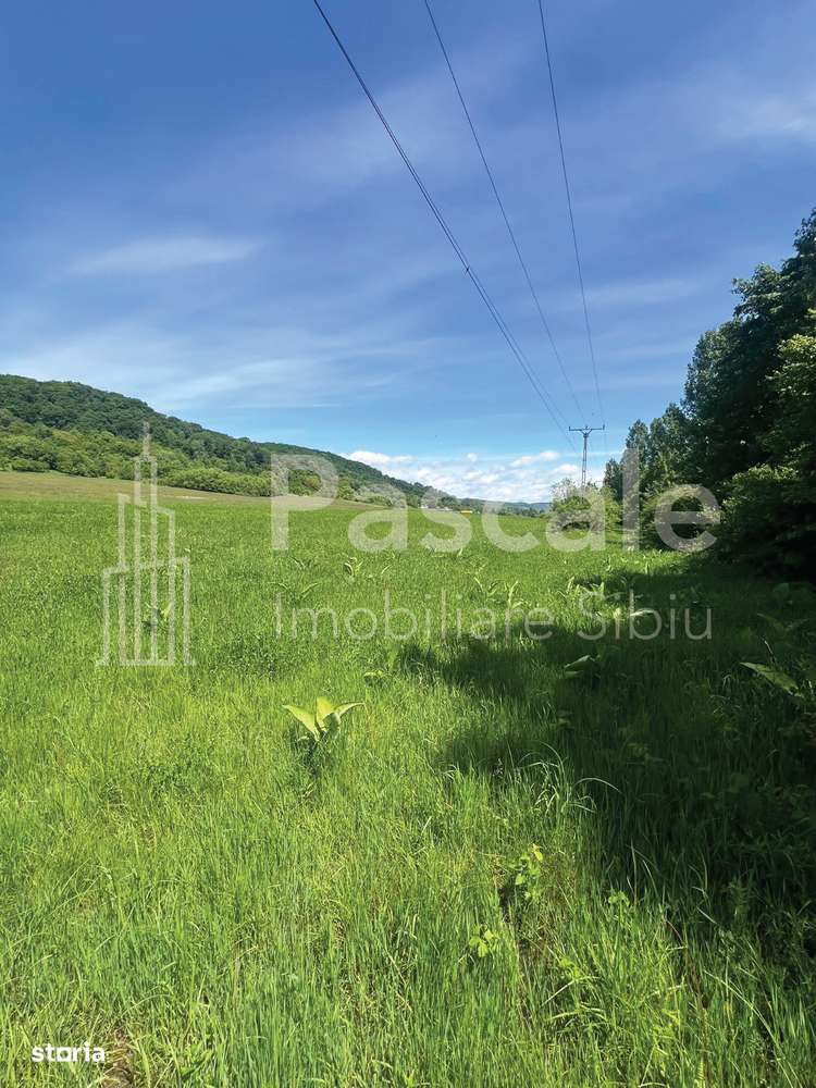 Teren generos de 10.000 mp la iesirea din localitatea Bradu, Sibiu - Imagine principală: 5/9