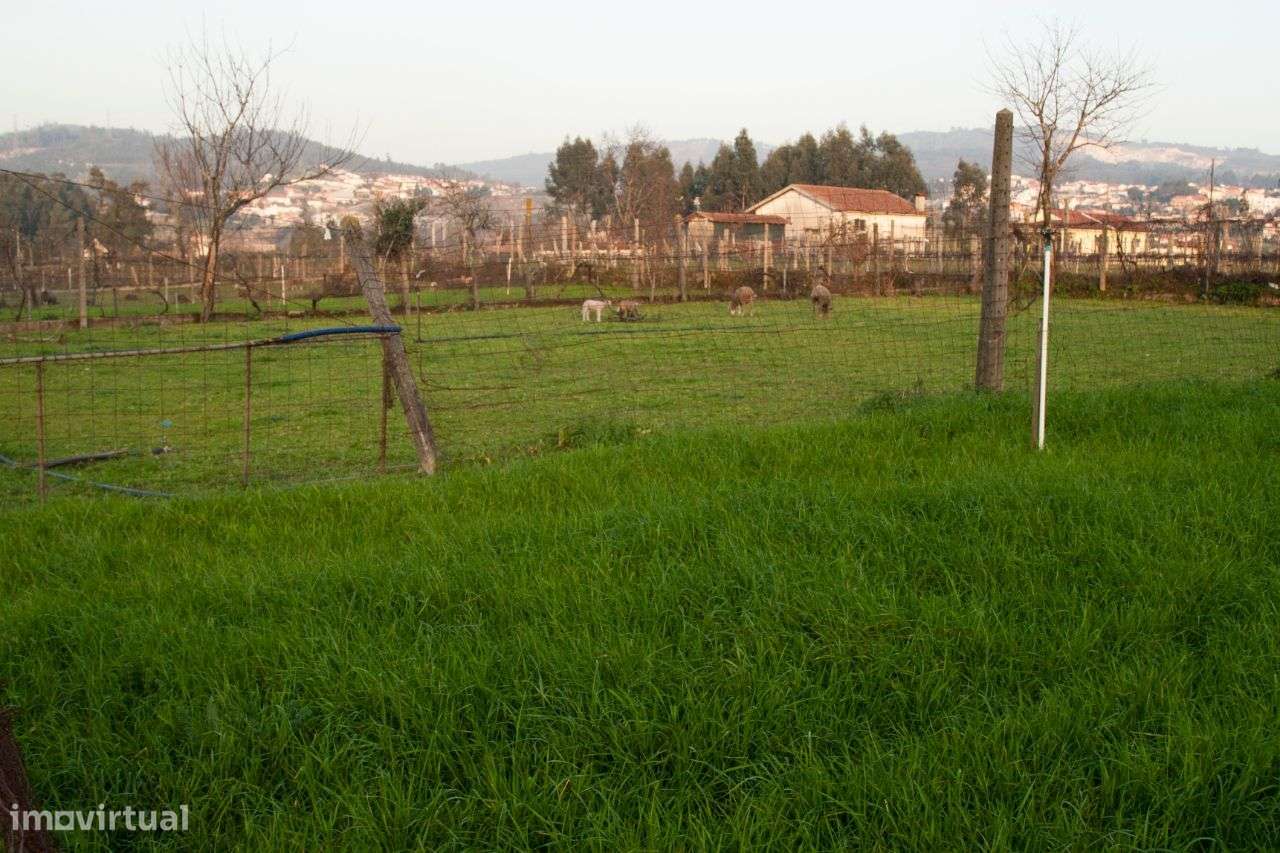 Terreno em Galegos Penafiel - Grande imagem: 4/6