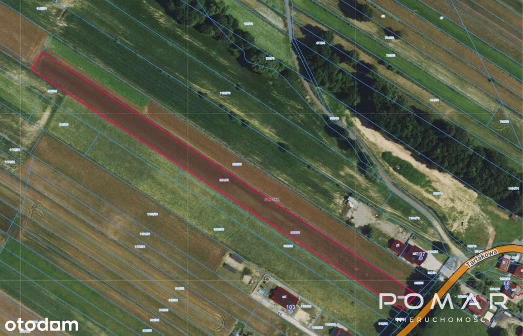 Duża działka w spokojnej okolicy! Tu jest pięknie!-9