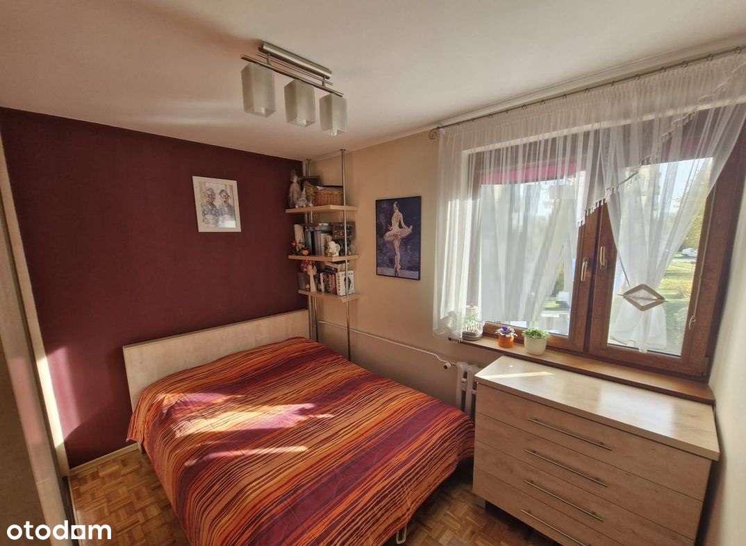 1 piętro, słoneczne, po remoncie. NA SKAPRIE. - Pełny obrazek: 5/10