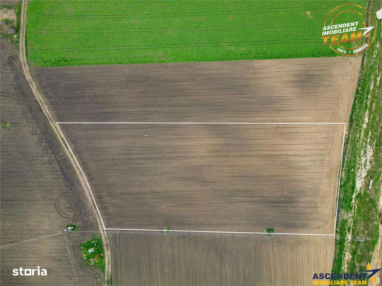 FILM! Teren intravilan cu potential ridicat - zona Sepsi Arena, Arcus, - Imagine principală: 3/5