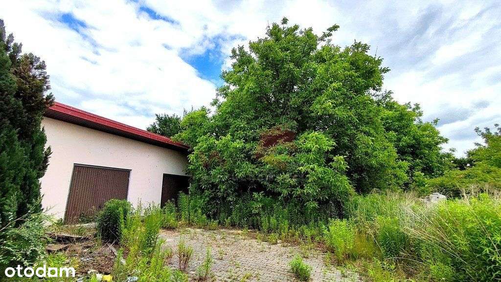 Szerokie 61 ar z domem i garażem-5