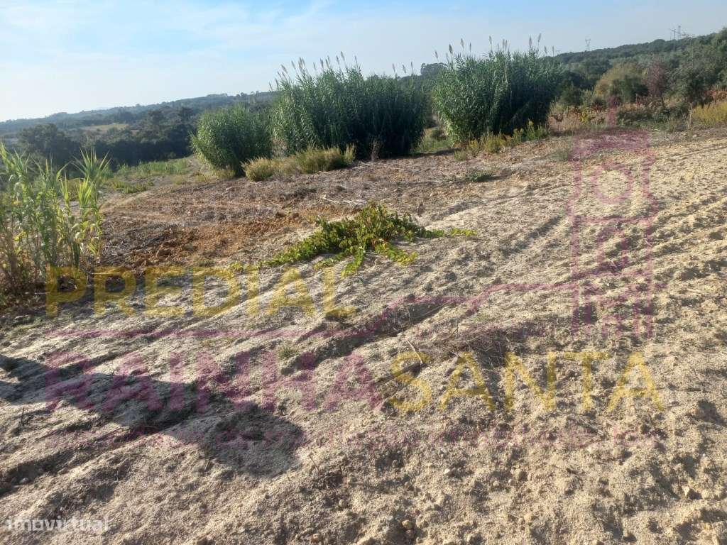 Terreno rustico com 1 Hectare-Cartaxo - Grande imagem: 4/8