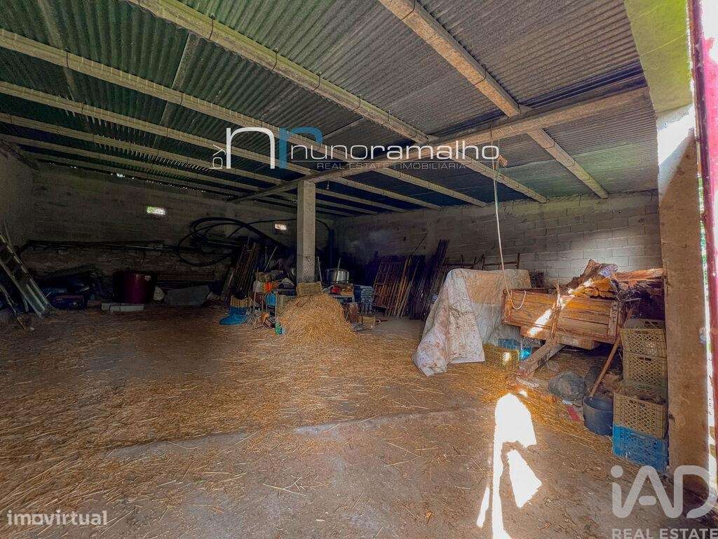 Terreno em Alto do Palurdo de 4179,00 m2 - Grande imagem: 4/9