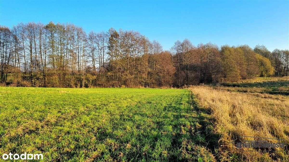 Parsęcko – działka 1,3 ha z możliwością siedliska.-11