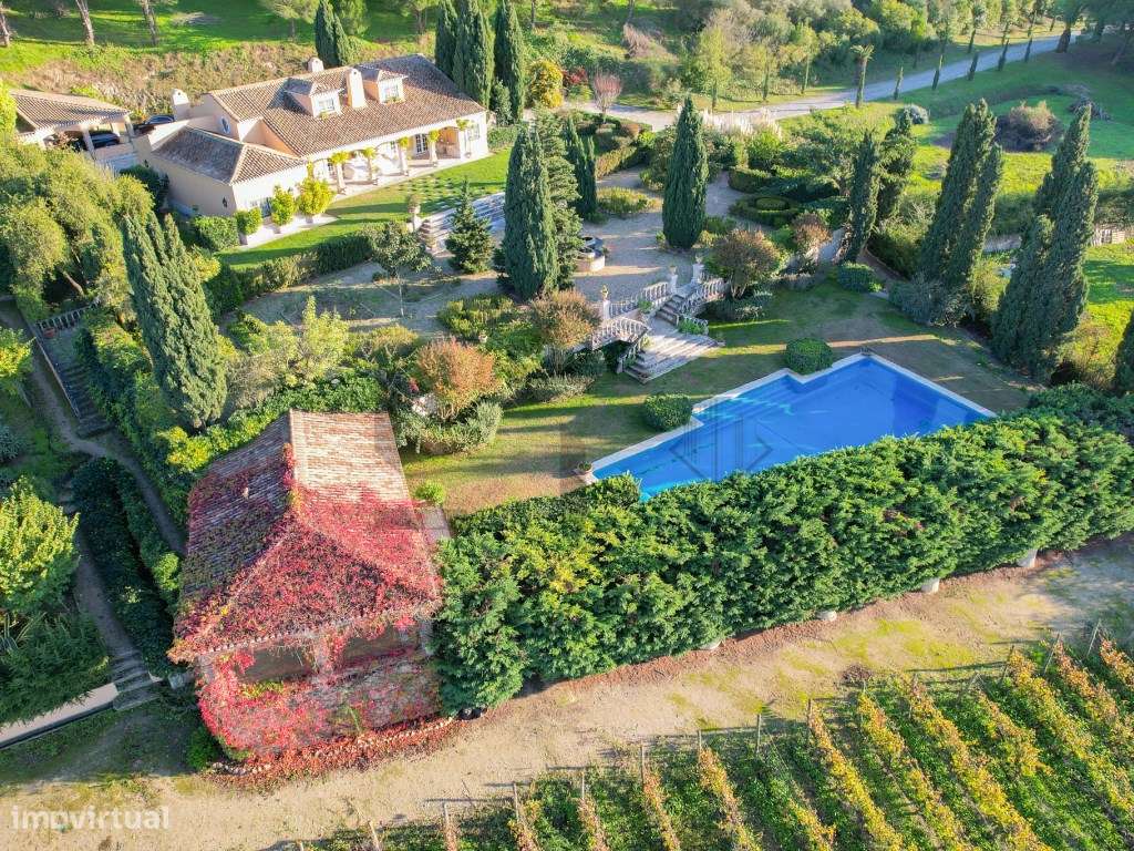 Quinta com Piscina e Vinha para Venda em Azeitão, Arrábida-16
