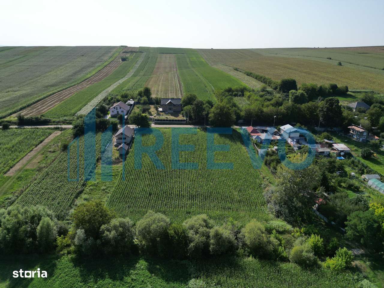 Teren intravilan de vânzare, Sat Bogdănști, Com. Traian - Imagine principală: 5/11