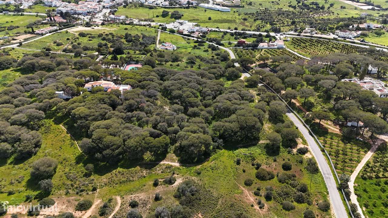 Terreno Rústico, Porches, Lagoa - Grande imagem: 5/37