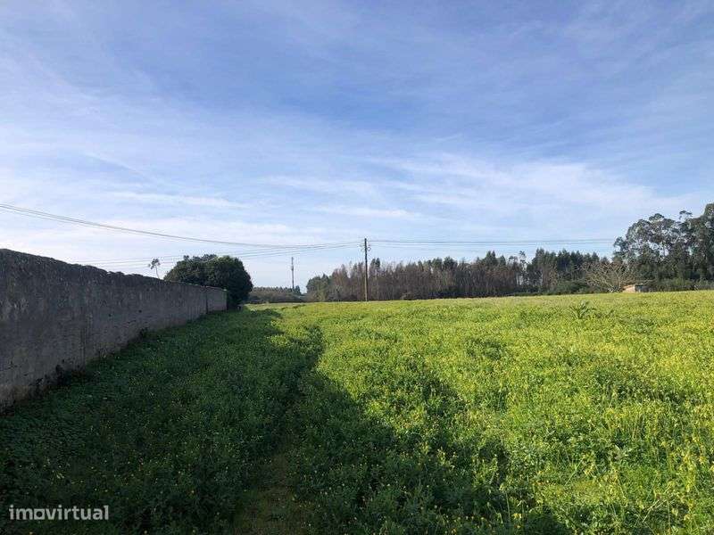 Terreno em Ilhavo - Grande imagem: 5/7