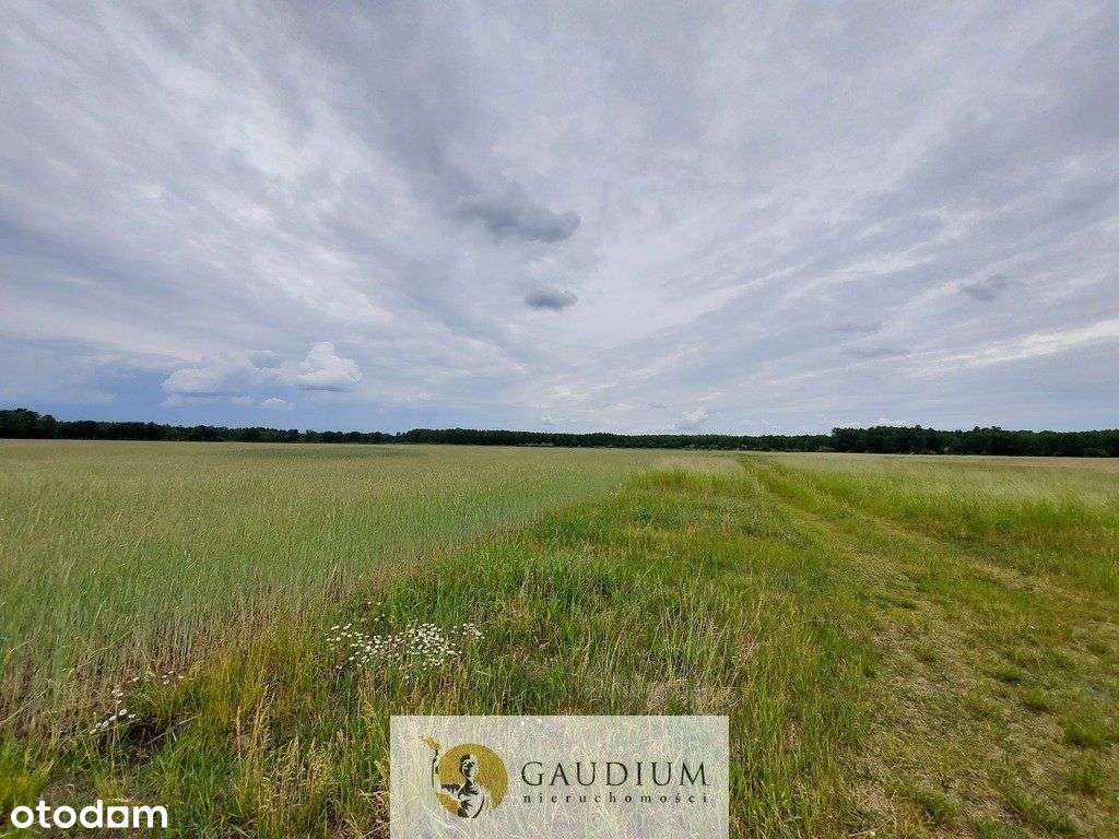 Turystyka nad brzegiem rzeki Obry-15