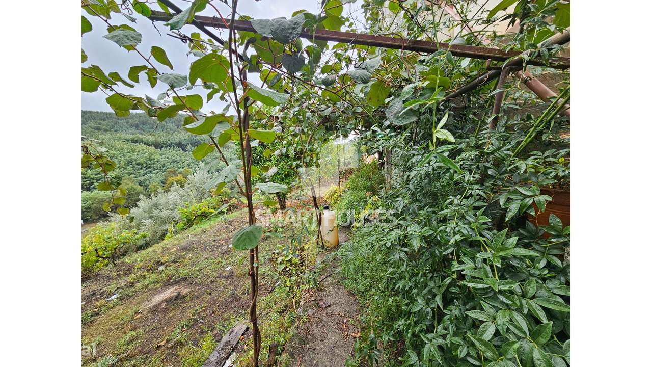 Moradia T4+T2 Pombeiro c/ terreno-41