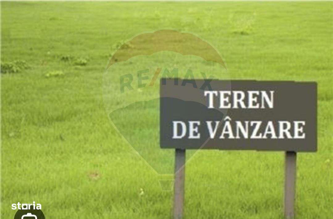 Pasune 21 ha pretabila pentru panouri fotovoltaice,impadurit-1