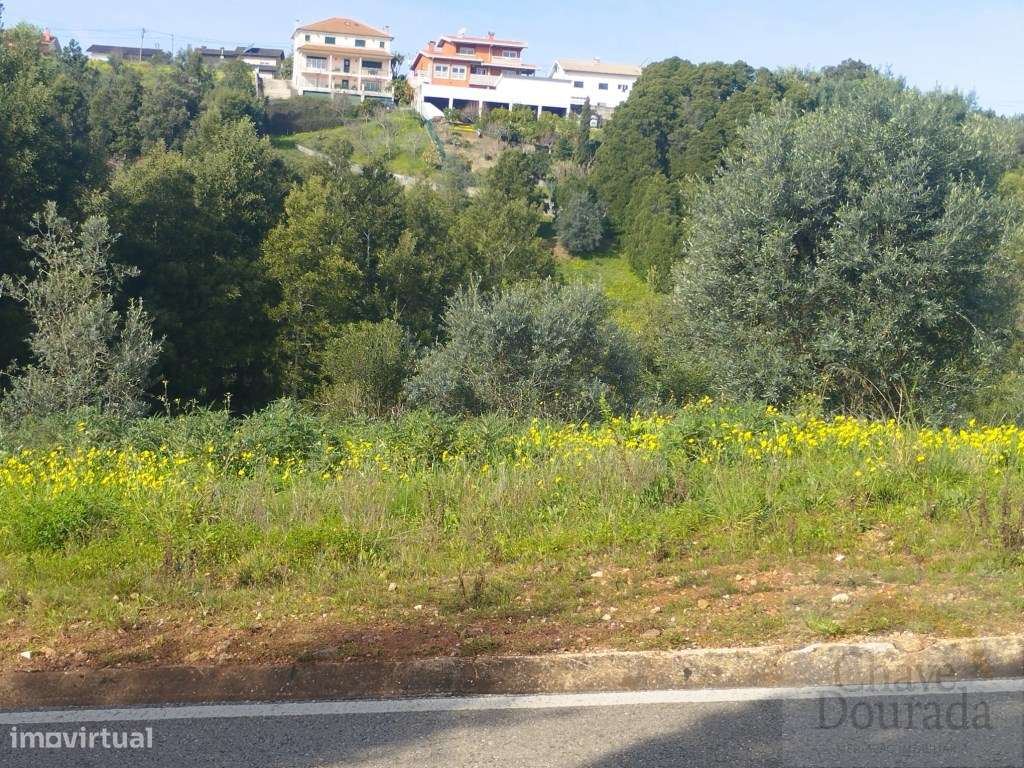 Lote de terreno com cerca de 9.000m2 para construção - Grande imagem: 4/10