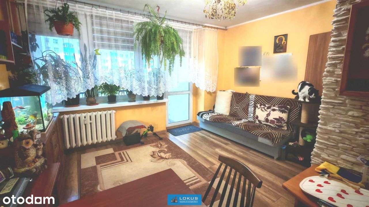 Mieszkanie 2 pokojowe na Widzewie przy parku-1