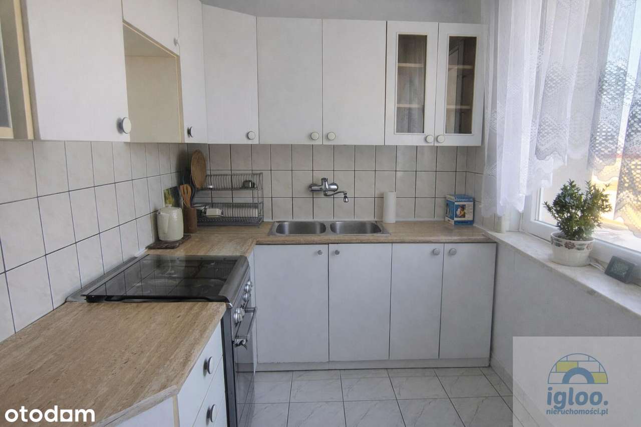 Rozkładowe 3 pokojowe mieszkanie barwinek loggia – pohled 4