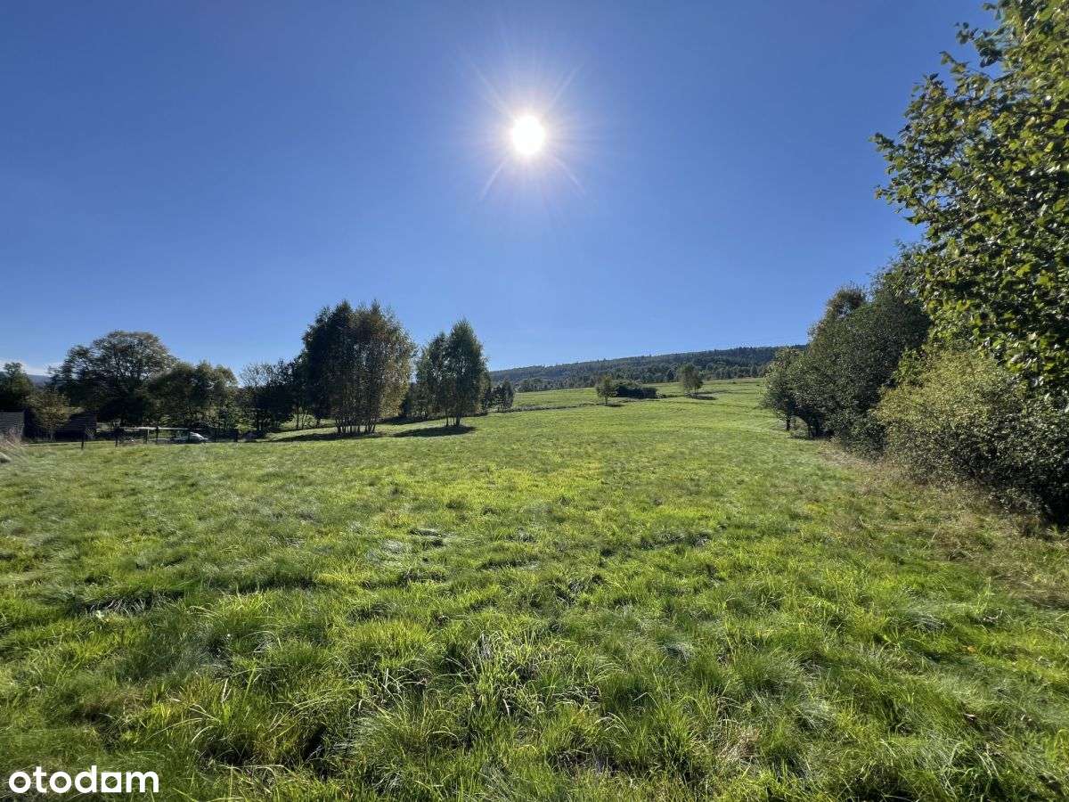 Działka budowlana blisko lasu