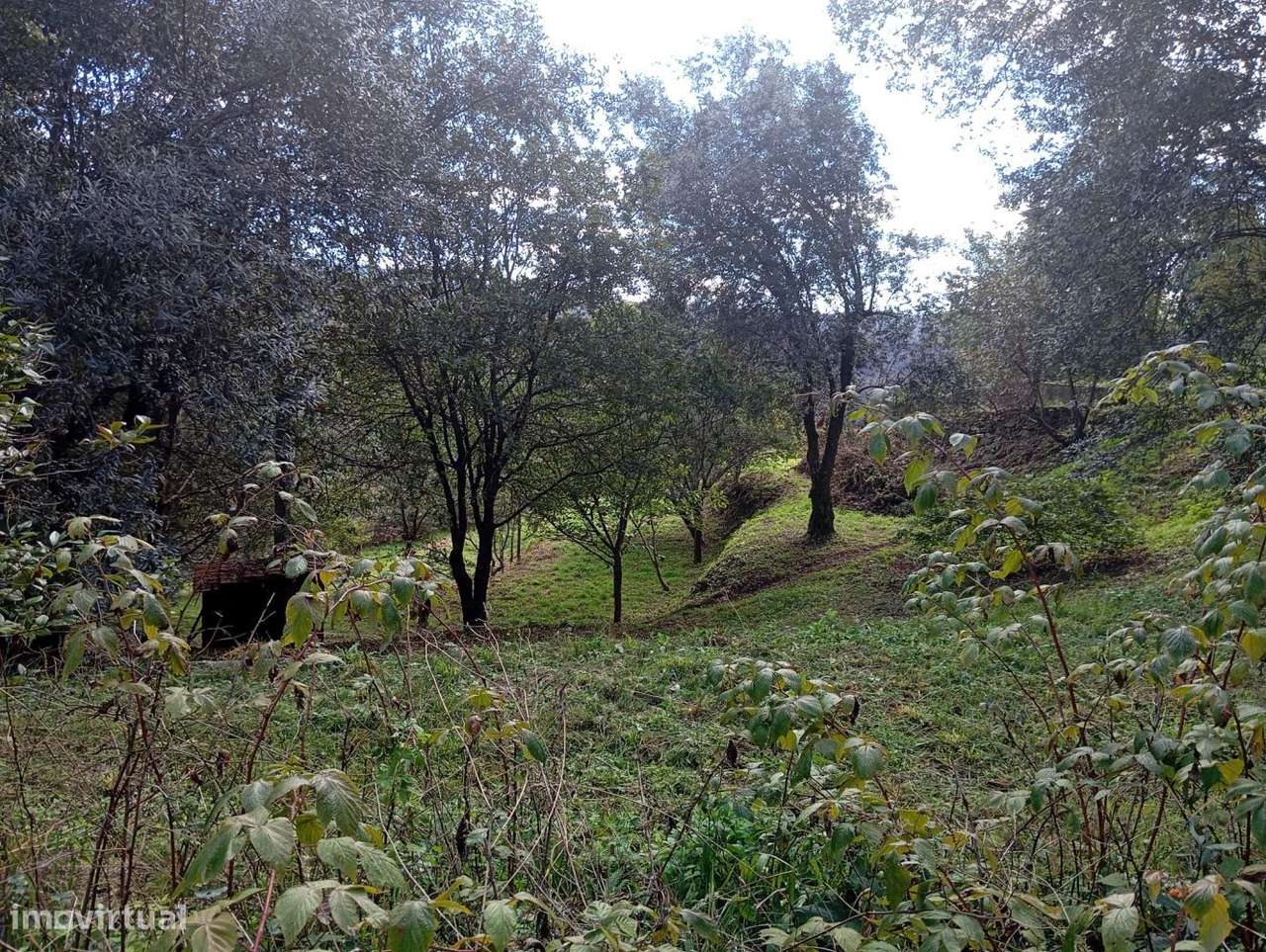 Terreno com viabilidade de construção em Palmaz - Grande imagem: 3/8
