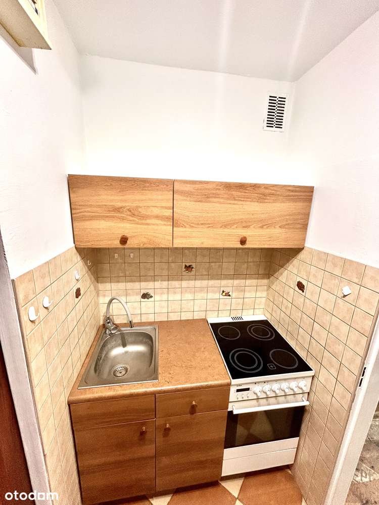 GOTOWIEC INWESTYCYJNY lub TWÓJ NOWY DOM|31m²|2. piętro|Kaczyce|169 000-9