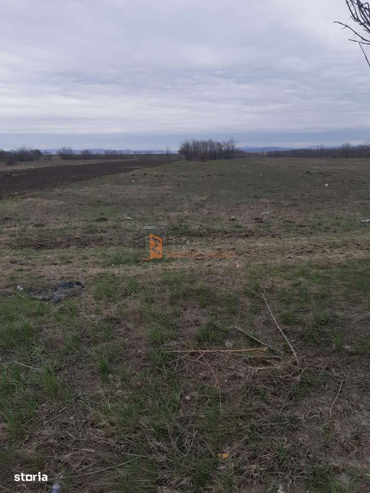 Teren intravilan 5000 mp  zona AutorolaE85 Autostrada A7 - Imagine principală: 4/5