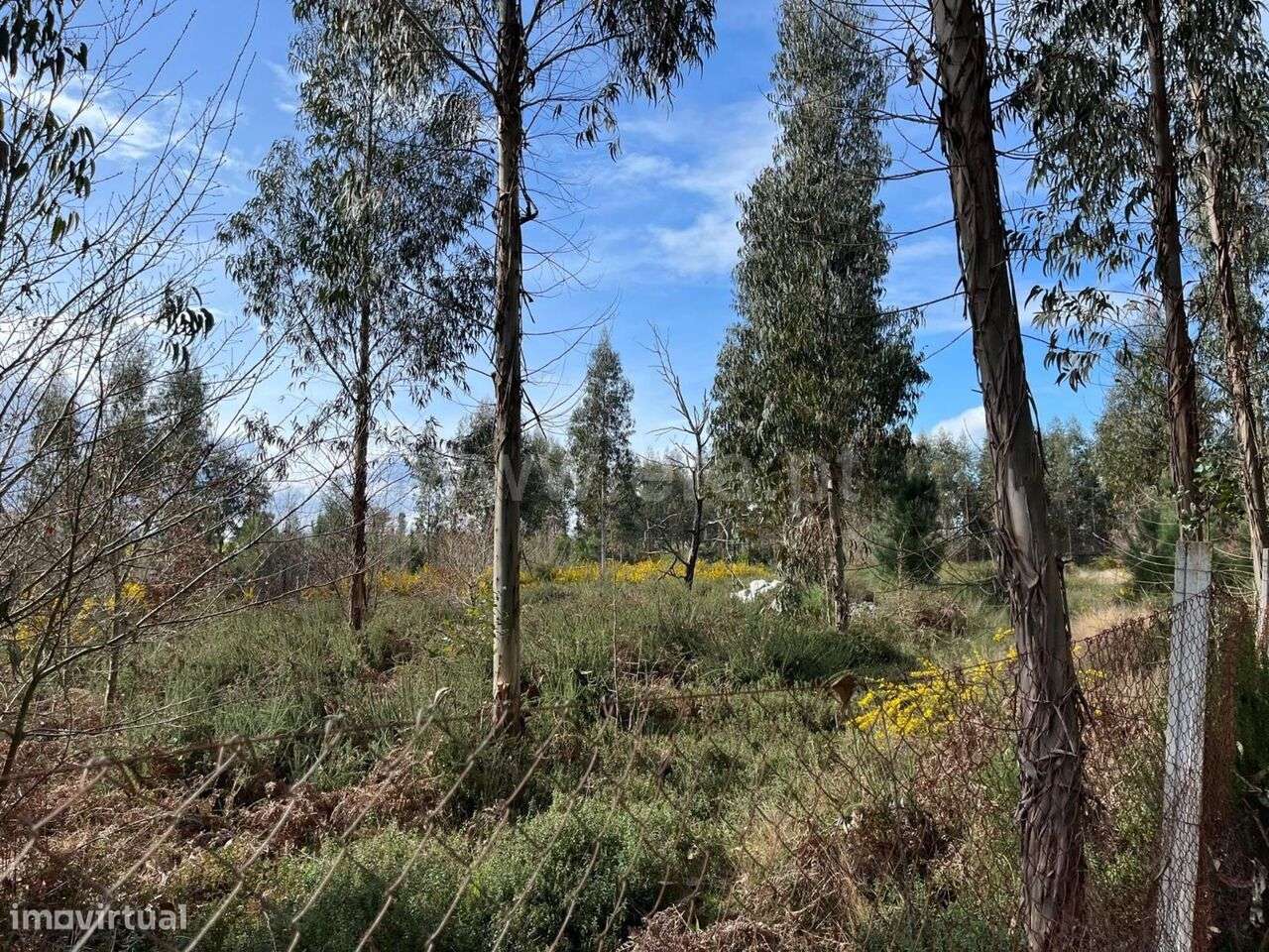 Terreno / Seia, Tourais e Lajes - Grande imagem: 4/11