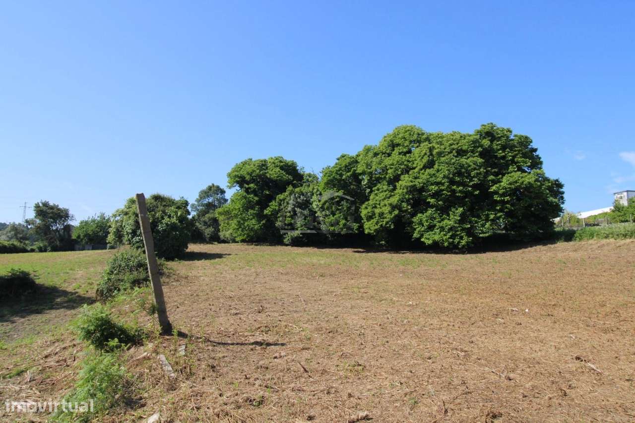 Terreno com 7.813 m² no Centro de Oliveira do Douro | Vila Nova de ...-13