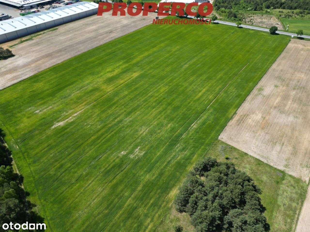 Działka 60642m2, Młyny, Busko-Zdrój - Pełny obrazek: 4/5