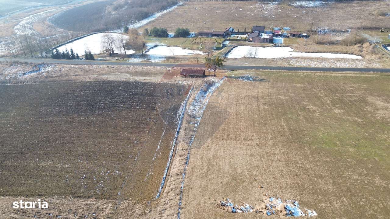 Teren pentru cabana 7.000mp in  Hoghilag, Tărâmul Tuberozelor - Imagine principală: 4/7