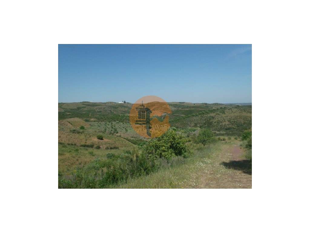 Terreno Misto com 99.760m2 - Grande imagem: 5/13