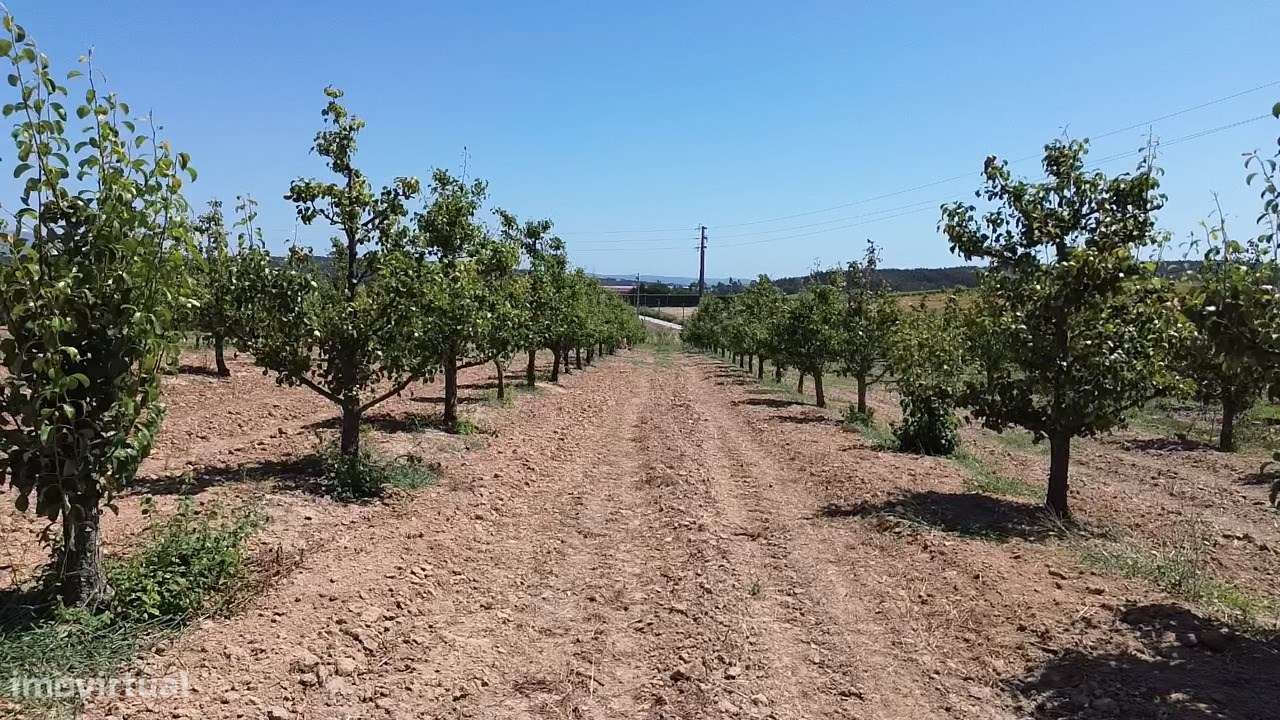 Terreno com projecto em aprovação com 3260 m2-10