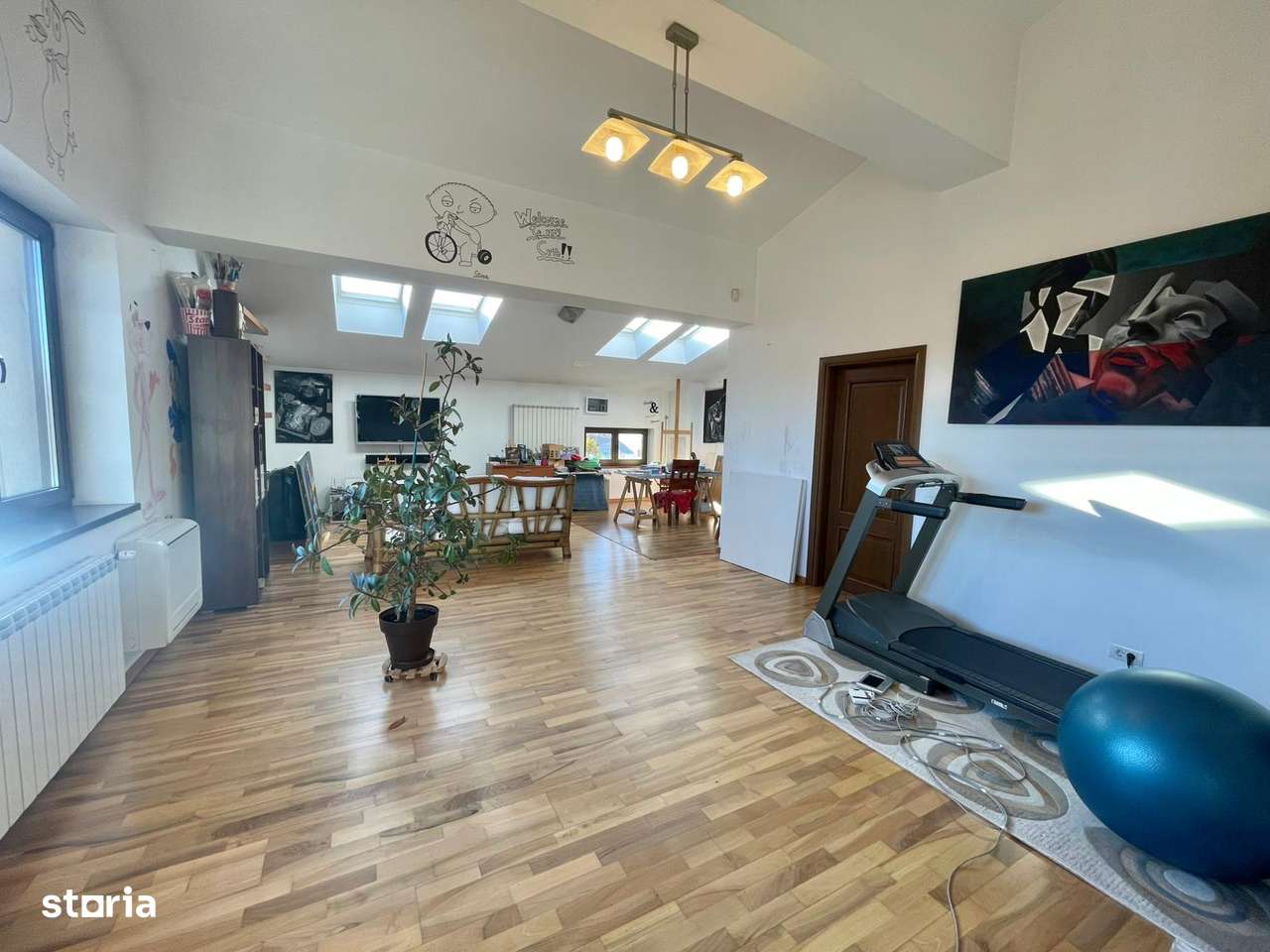 Casa - Damaroaia, Expozitiei, Herastrau-6