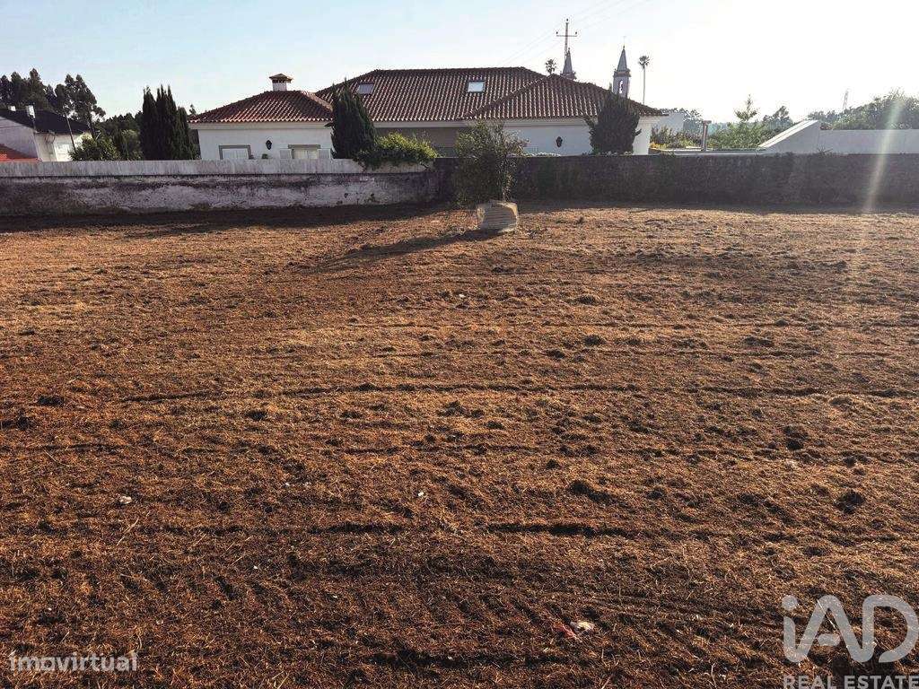 Terreno em Cortegaça de 1593,00 m2 - Grande imagem: 5/12