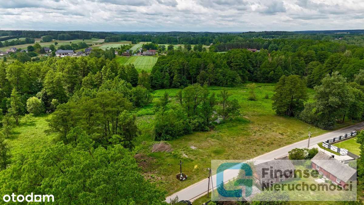 gcmg995648 - Pełny obrazek: 4/9