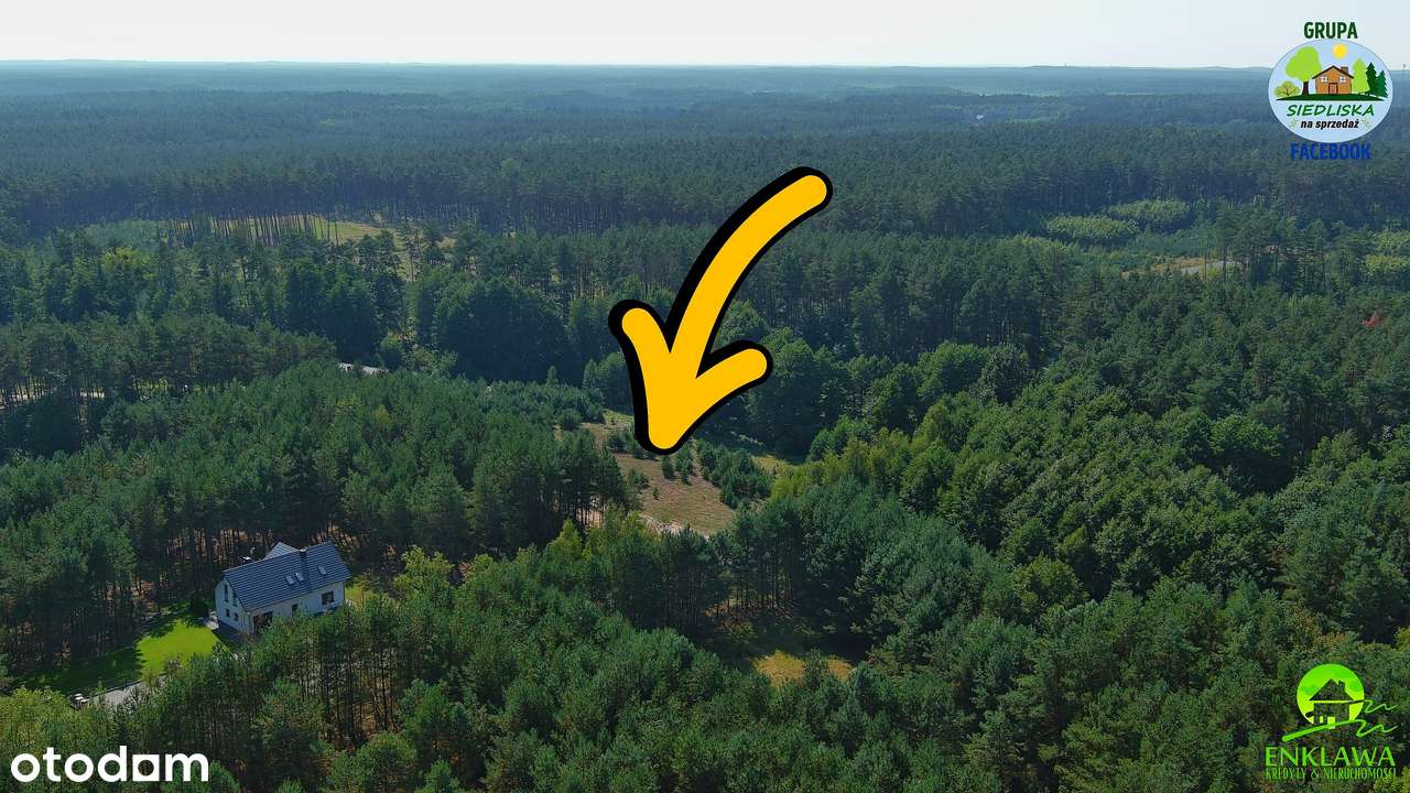 ENKLAWA prezentuje: działka w MEGA okolicy! PUSZCZA NOTECKA + jezioro!-6