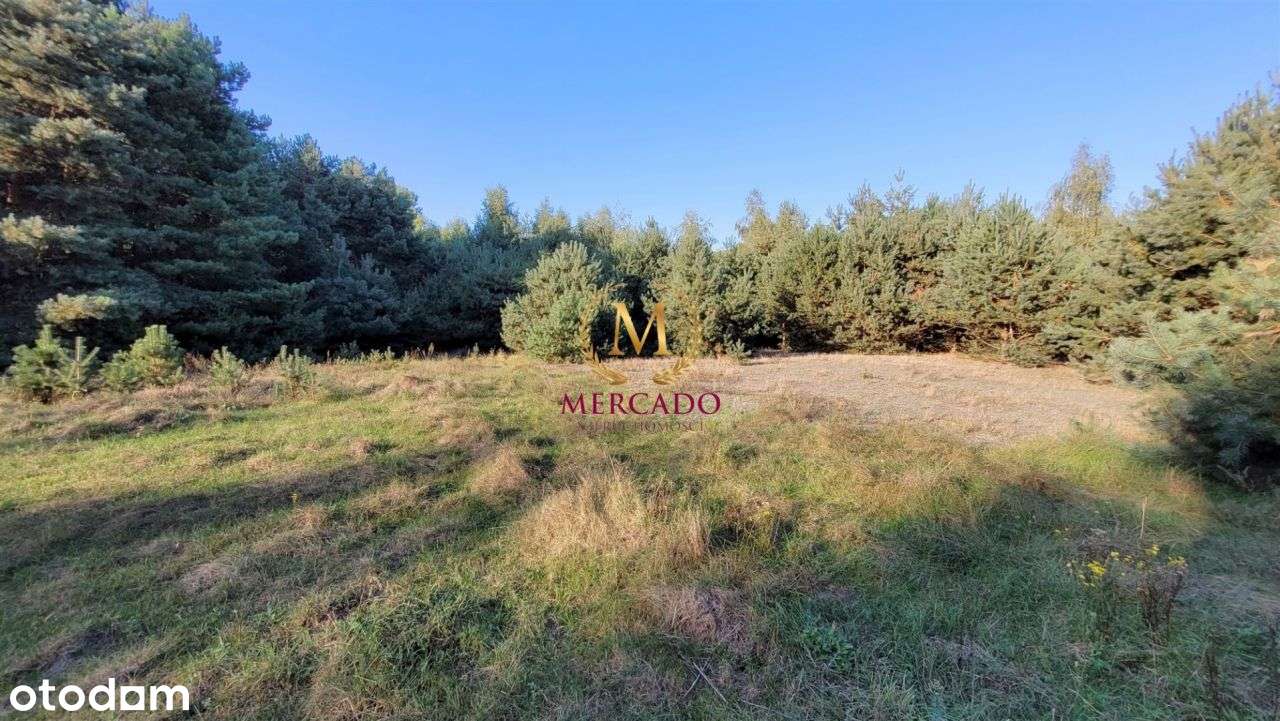 4w1 działki budowlane Krzyżowki - Pełny obrazek: 5/8