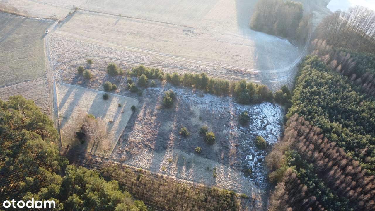 Działka rolna przy lesie  9893 m², Postolin k. Milicza-6