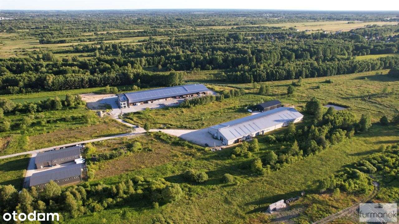 Działka pod usługi, produkcję lub magazyn przy Dw - Pełny obrazek: 5/17