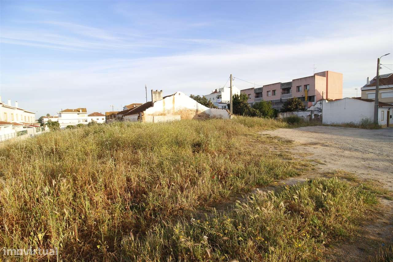 Terreno Para Construção  Venda em Vendas Novas,Vendas Novas-5