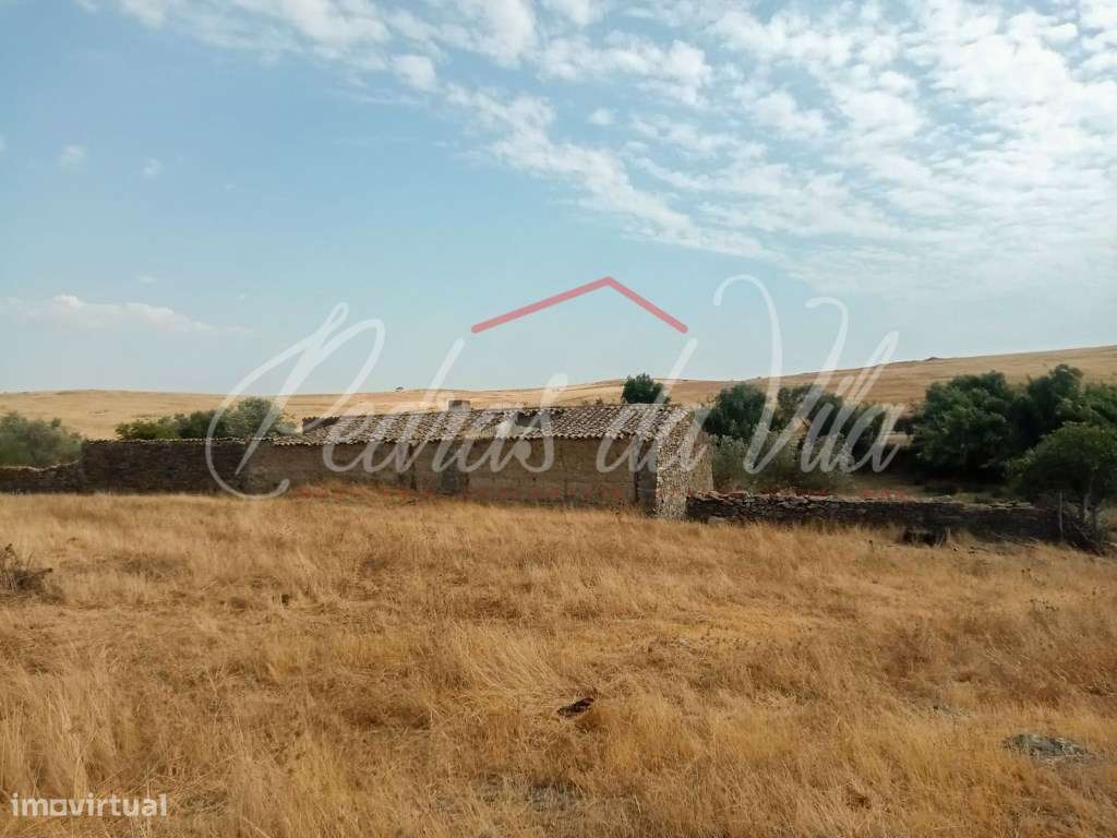 Propriédade de 119ha com varias ruinas - Castro Verde-27