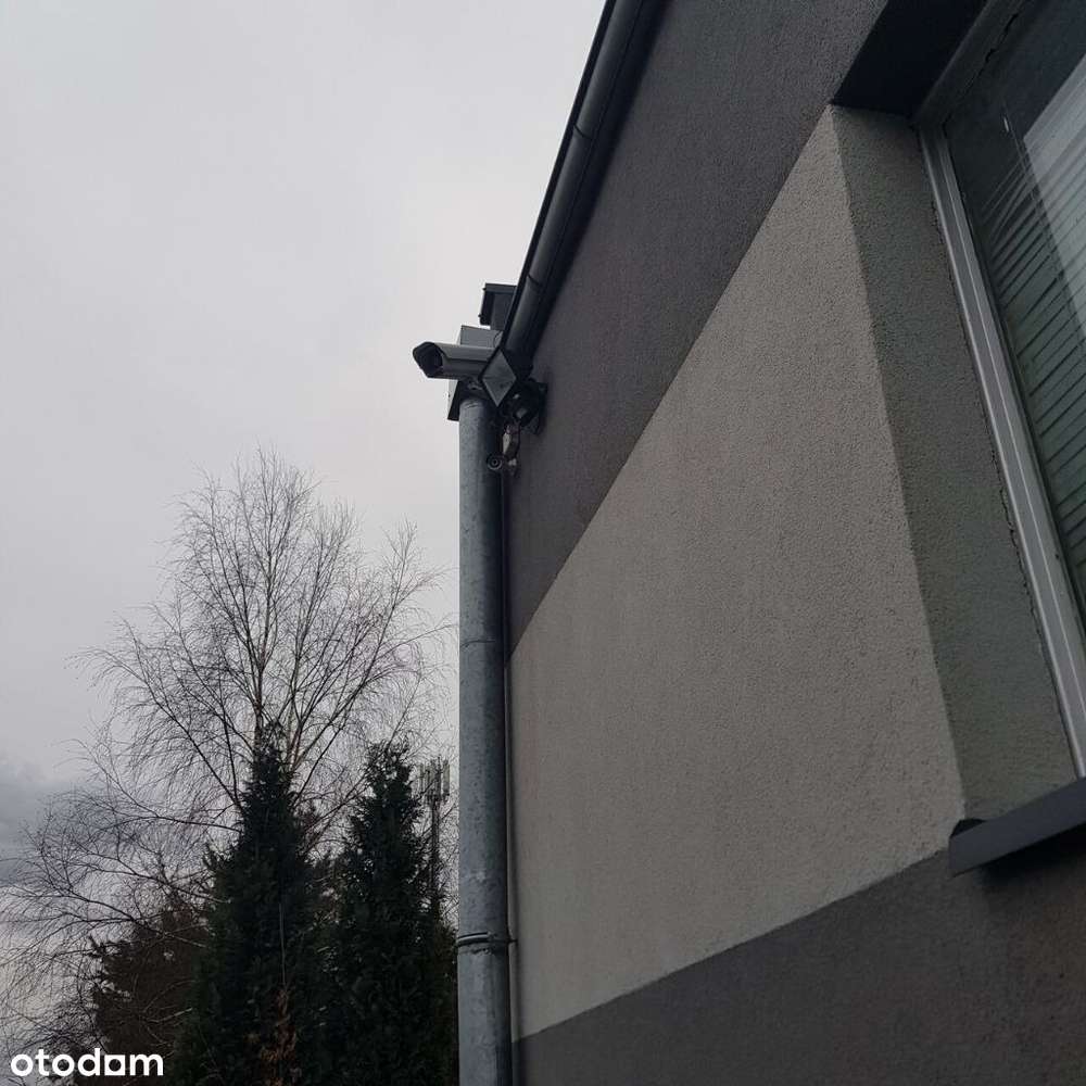 Hala Sosnowiec. Magazyn Produkcja Mroźnia. - Pełny obrazek: 4/6