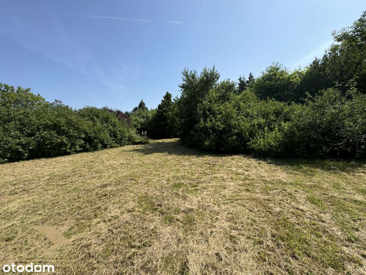 Nowa NIŻSZA Cena! - Pełny obrazek: 2/3